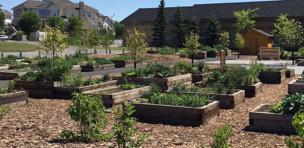 Community hub and garden